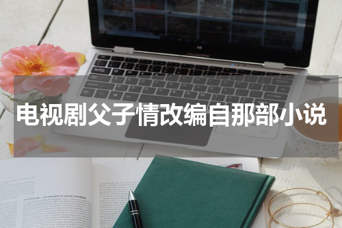 电视剧父子情改编自那部小说