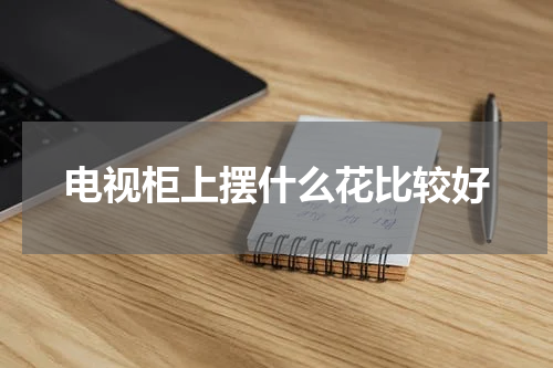 电视柜上摆什么花比较好