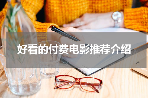好看的付费电影推荐介绍