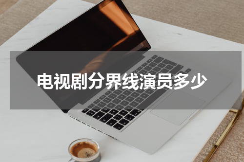 电视剧分界线演员多少