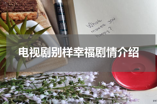 电视剧别样幸福剧情介绍