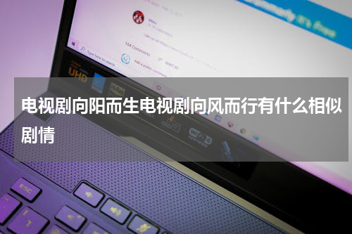 电视剧向阳而生电视剧向风而行有什么相似剧情