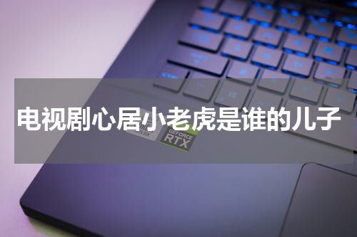 电视剧心居小老虎是谁的儿子
