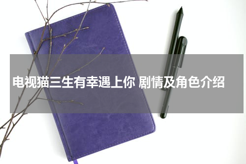 电视猫三生有幸遇上你 剧情及角色介绍