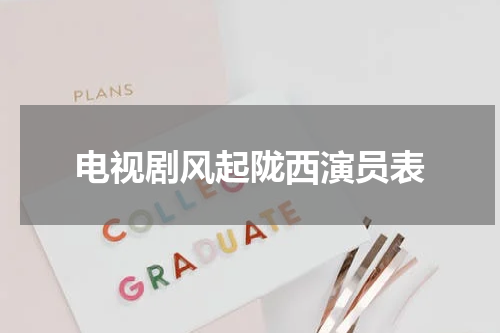 电视剧风起陇西演员表