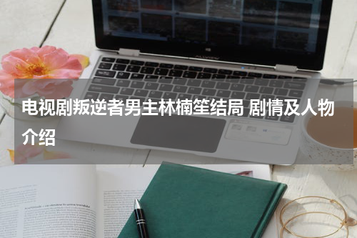 电视剧叛逆者男主林楠笙结局 剧情及人物介绍
