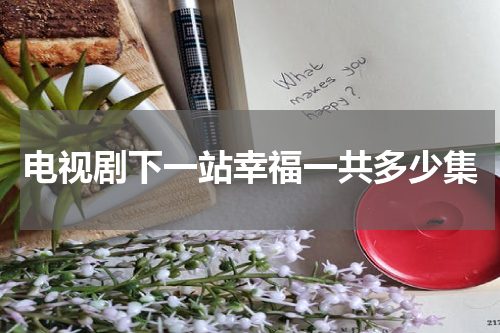 电视剧下一站幸福一共多少集