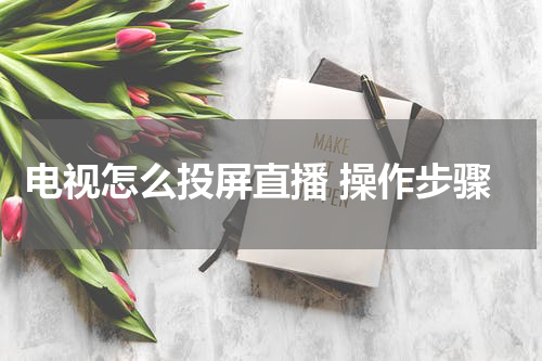 电视怎么投屏直播 操作步骤