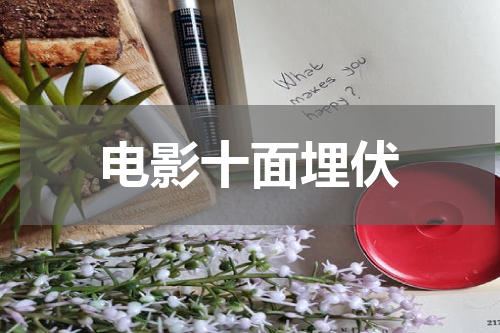 电影十面埋伏