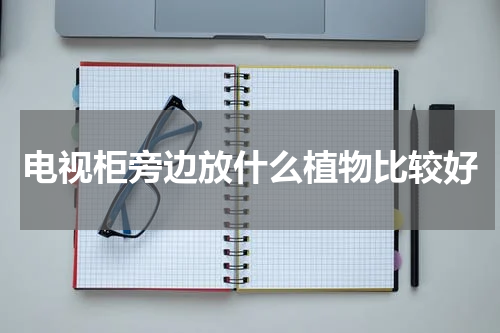 电视柜旁边放什么植物比较好