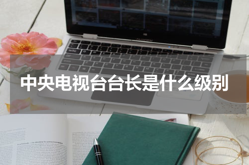 中央电视台台长是什么级别