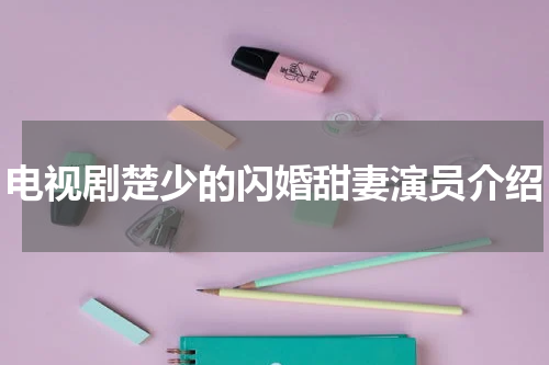 电视剧楚少的闪婚甜妻演员介绍