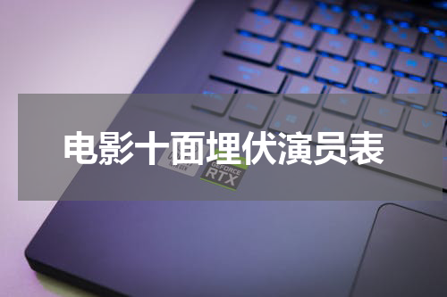 电影十面埋伏演员表