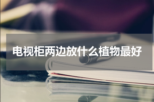 电视柜两边放什么植物最好