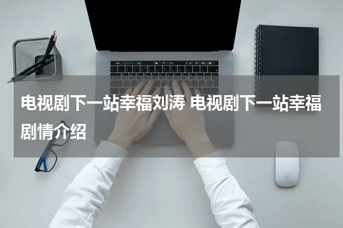 电视剧下一站幸福刘涛 电视剧下一站幸福剧情介绍