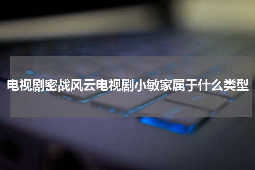 电视剧密战风云电视剧小敏家属于什么类型