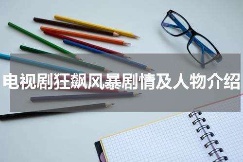 电视剧狂飙风暴剧情及人物介绍