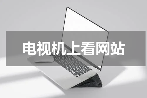 电视机上看网站
