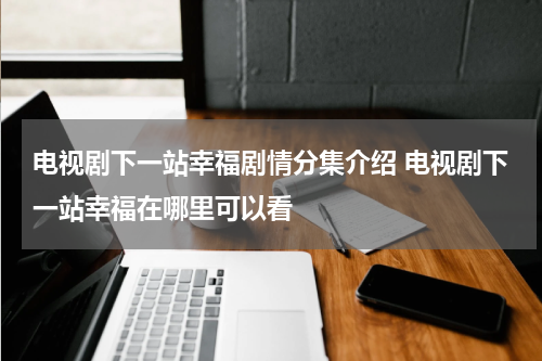 电视剧下一站幸福剧情分集介绍 电视剧下一站幸福在哪里可以看