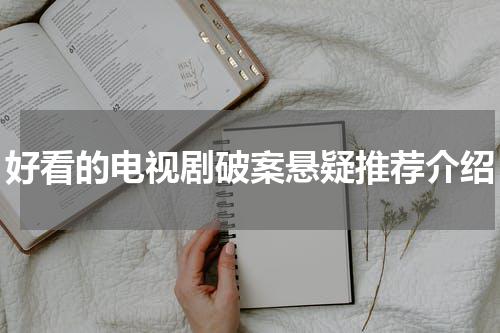 好看的电视剧破案悬疑推荐介绍