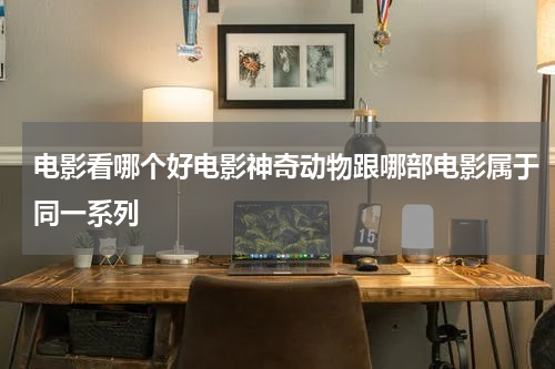电影看哪个好电影神奇动物跟哪部电影属于同一系列
