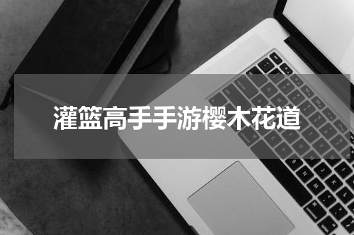 灌篮高手手游樱木花道
