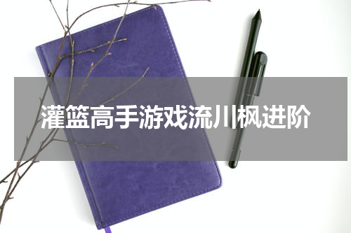 灌篮高手游戏流川枫进阶