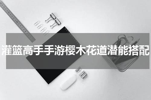 灌篮高手手游樱木花道潜能搭配