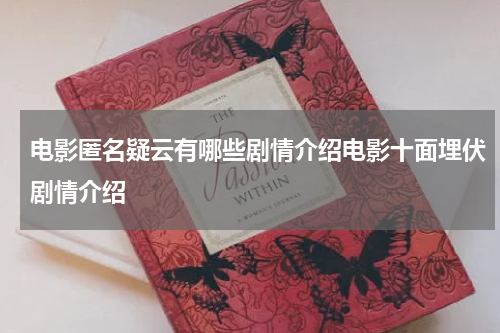 电影匿名疑云有哪些剧情介绍电影十面埋伏剧情介绍
