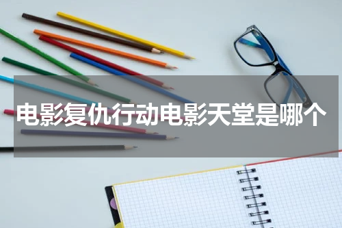 电影复仇行动电影天堂是哪个