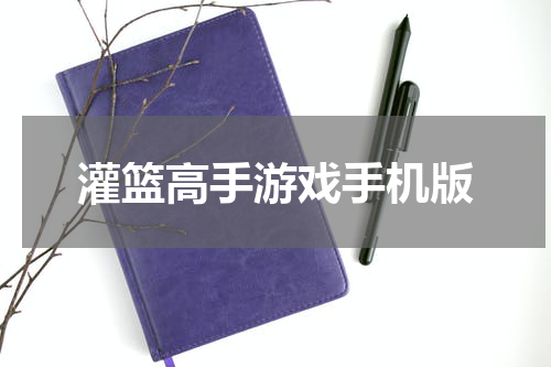 灌篮高手游戏手机版