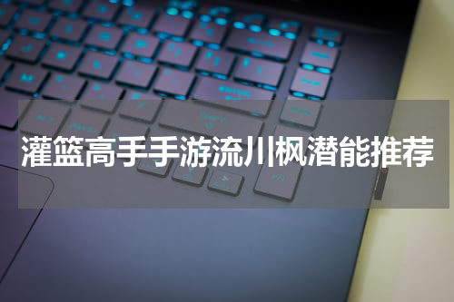 灌篮高手手游流川枫潜能推荐