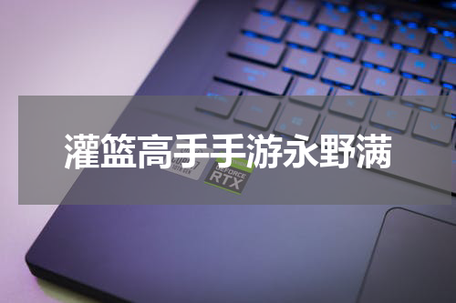 灌篮高手手游永野满