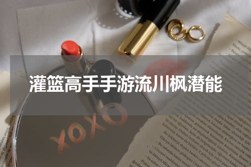 灌篮高手手游流川枫潜能