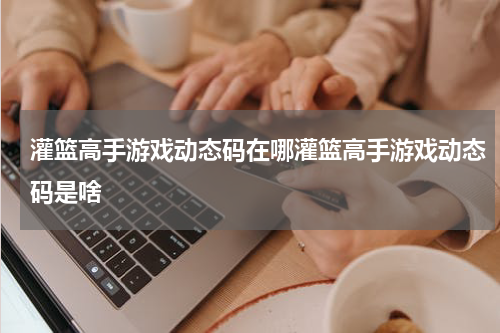 灌篮高手游戏动态码在哪灌篮高手游戏动态码是啥