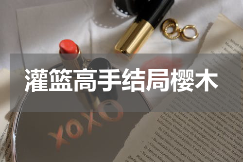 灌篮高手结局樱木