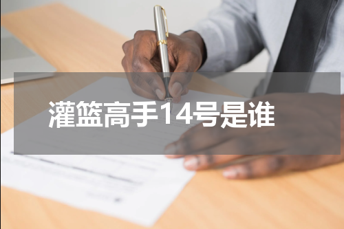 灌篮高手14号是谁