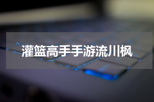 灌篮高手手游流川枫