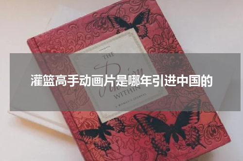 灌篮高手动画片是哪年引进中国的