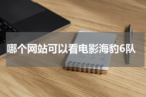 哪个网站可以看电影海豹6队