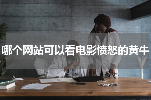 哪个网站可以看电影愤怒的黄牛