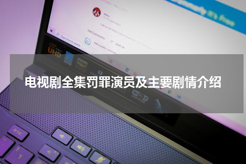 电视剧全集罚罪演员及主要剧情介绍
