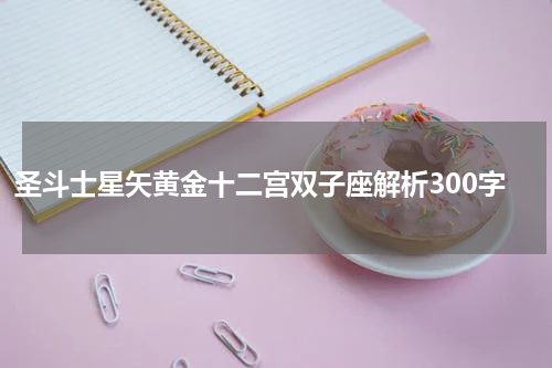 圣斗士星矢黄金十二宫双子座解析300字