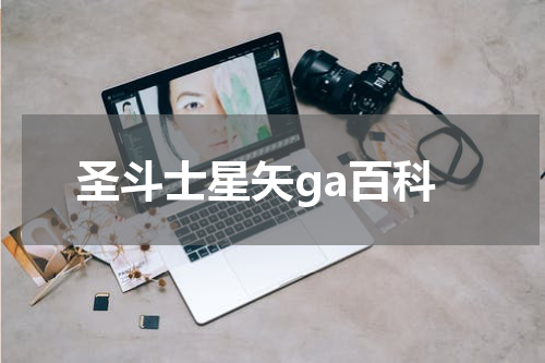 圣斗士星矢ga百科