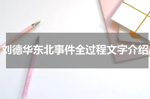 刘德华东北事件全过程文字介绍