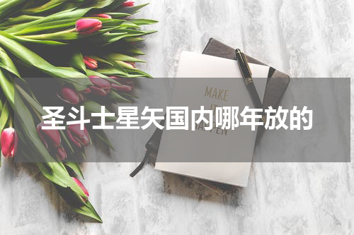 圣斗士星矢国内哪年放的
