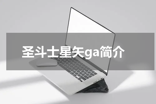 圣斗士星矢ga简介