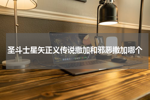 圣斗士星矢正义传说撒加和邪恶撒加哪个