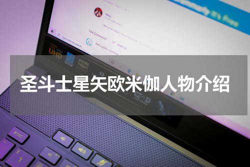 圣斗士星矢欧米伽人物介绍