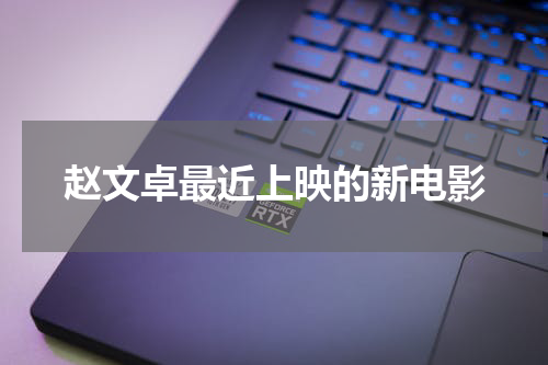 赵文卓最近上映的新电影